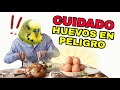 ESTA MANÍA PONE EN PELIGRO A LOS HUEVOS DE TUS PERIQUITOS