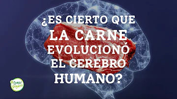 ¿Cuándo evolucionó el ser humano para no comer carne cruda?