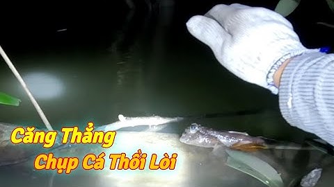 Soi Cá Thồi Lòi Giữa Đêm Khuya | Gia Đình Cần Giờ .65 |
