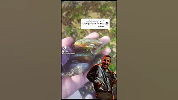 شاب مامي الحباب الصحاب الغدارين 