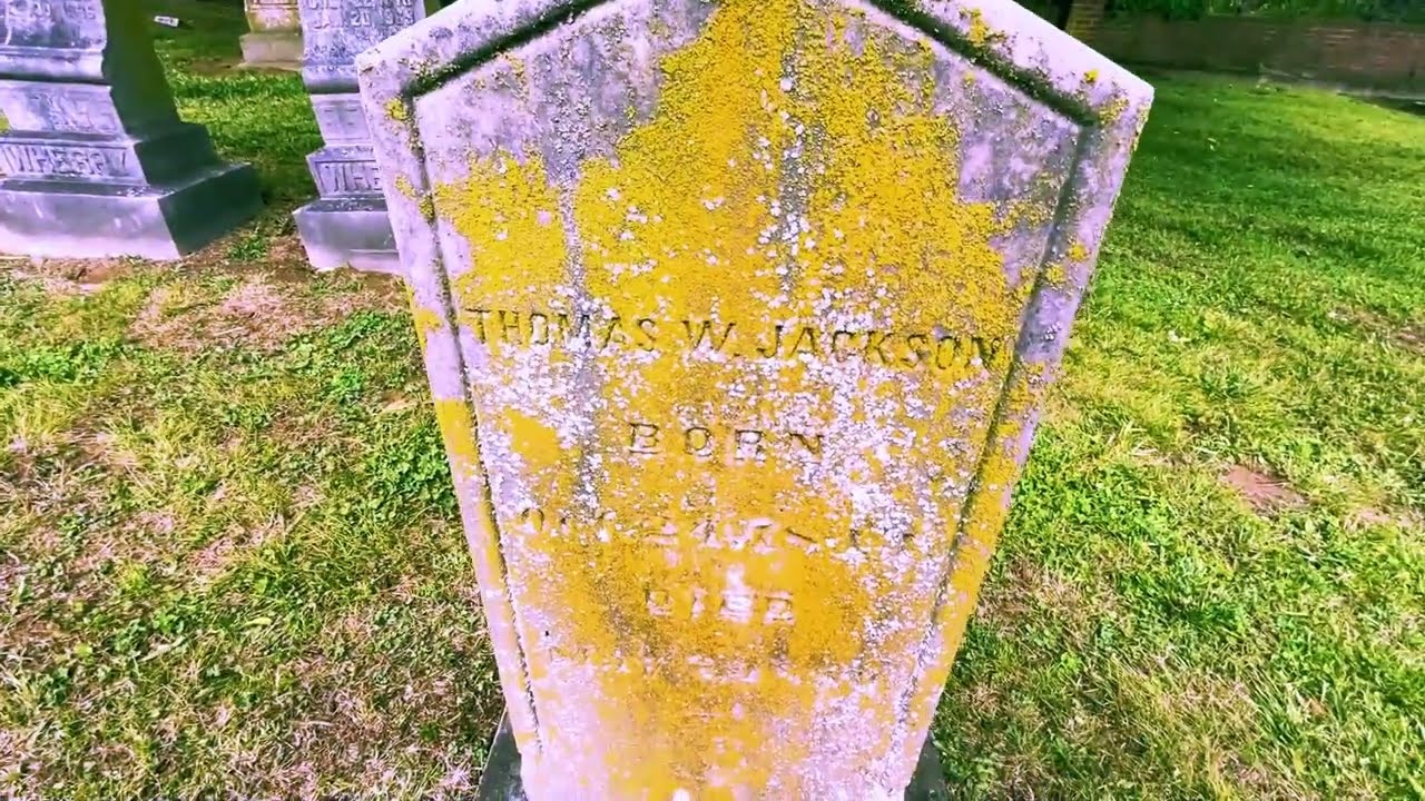 Old civil war cemetery in Hendersonville Tennessee - Causes of death - Life info