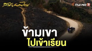 ข้ามเขาไปเข้าเรียน | สามัญชนคนไทย