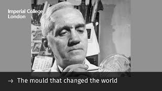 The mould that changed the world