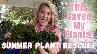 Summer Heat? Do THIS to Your Pots...I promise it helps!