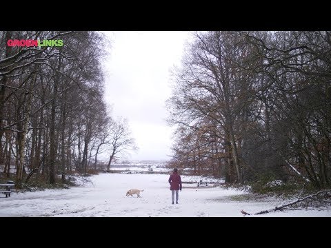 Gelukkig in Renkum. Stem GroenLinks.