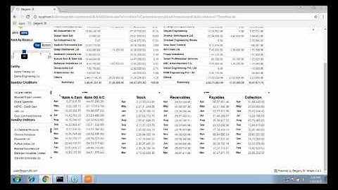 Webinar: ElegantJ BI for Tally