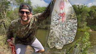 Loading Up on SHRIMP in a ROADSIDE DITCH (CATCH AND COOK)