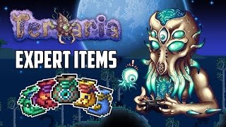 Download lagu Terraria 1 3 Expert Mode Treasure Bags Top 5 Best Expert Mode Items PC XBOX1 PS4 Terraria 1 3 Expert Mode Treasure Bags Top 5 Best Expert Mode Items PC XBOX1 PS4
