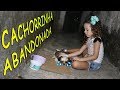 CACHORRINHA ABANDONADA 01 - MAMÃE DEIXA EU LEVA PARA CASA?