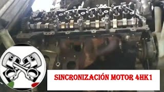 Sincronización motor 4HK1 Isuzu 400