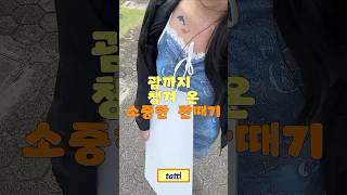 이벤트 배너