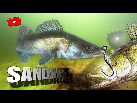 Sandacze wertykalnie vlog#49. jaką metodą łowisz mętnookie smoki?