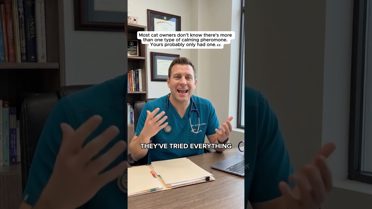 ai talking head 2