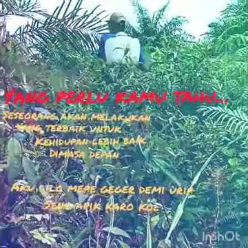 Kudu kuat senajan wong ra nduwe, story wa sewates kerjo