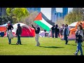 Batras burning questions as expected propalestinian campus protests now in canada