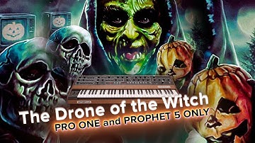 The Drone of the Witch - Prophet 5 and Pro One DRONE