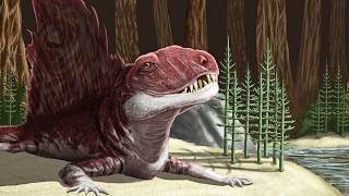 Dimetrodon — Our Nightmarish Relative From Nearly 300 Million Years Ago