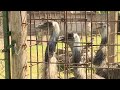 Uskoro otvaranje ZOO vrta Vrnjci