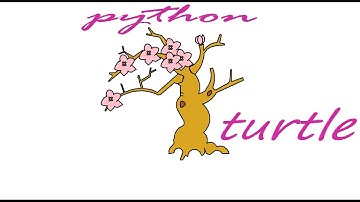 python turtle 自创桃树的画法！【1】