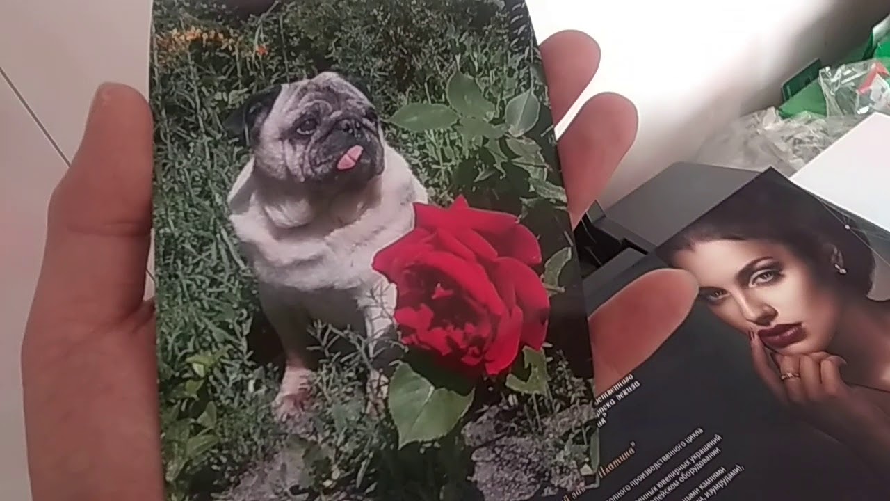 Печать на магнитной бумаге 10*15 см. Вторая партия из СПБ - YouTube