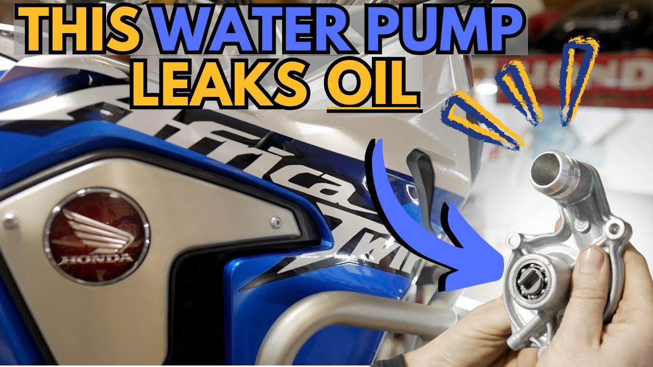 How to Replace the Water Pump on a Honda CRF1000D Africa Twin