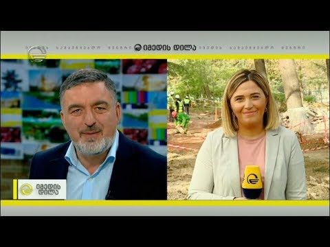 როგორ მიმდინარეობს კიკვიძის ბაღის სარეაბილიტაციო სამუშაოები