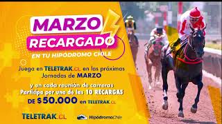 Vidéo de la course PMU PRIX ZEMUS