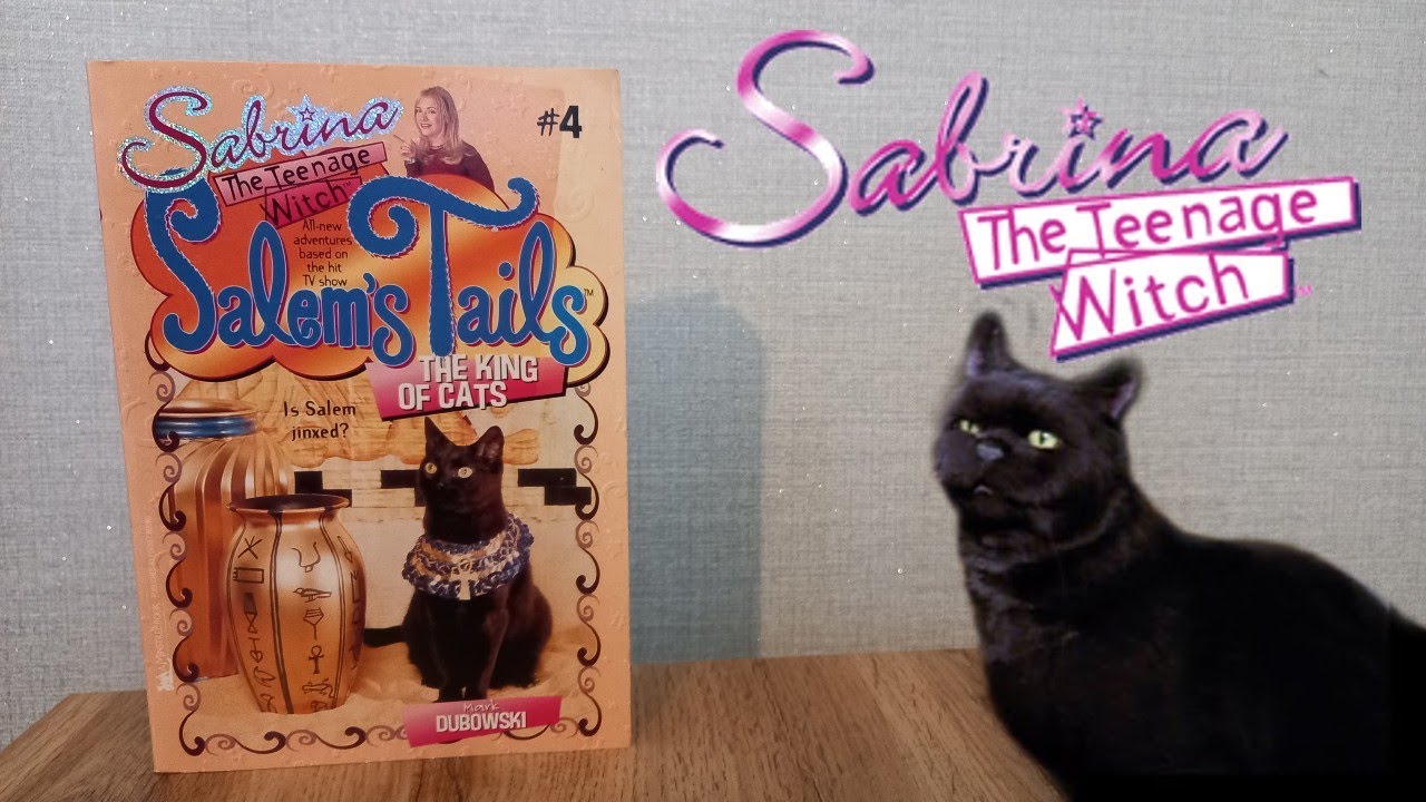Salem's Tails 4: King of the Cats | Sabrina the Teenage Witch Books