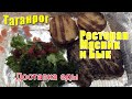 Мясник и Бык. Таганрог. Доставка Яндекс.Еда