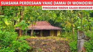 Damai Dan Tenteram  Indahnya Suasana Pagi Hari Di Pedesaan Wonogiri