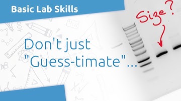 Lab Skills: Measuring the size of a DNA fragment