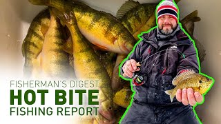 Perch Fishing On Saginaw Bay, Manistee Crappie, & More - Hot Bite Fishing Report - Feb 17th, 2021