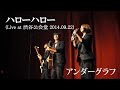 ハローハロー(Live at 渋谷公会堂 2014.09.22)/アンダーグラフ