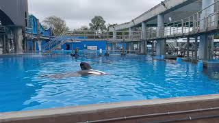 SeaWorld Orca Whale Inside Look Backstage Tour - 4K (11-13-2020)
