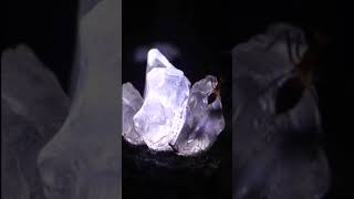 Ants in a Crystal Terrarium (Part 2)