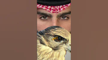 اص ولا اسمع نفس محمد بن ذياب Teamwork اكسبلور شعر السعوديه الرياض حايل جده القصيم بريده ترند 