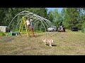 20x30x12 building hoop barn shed frame setup
