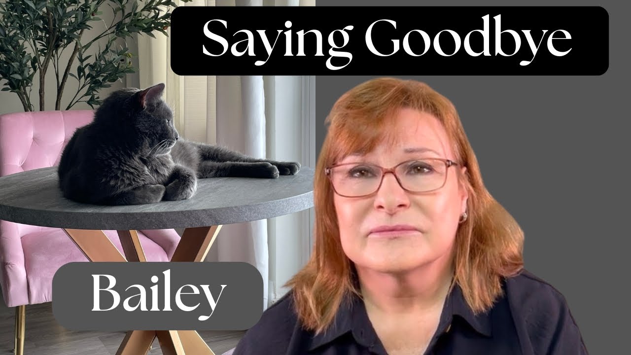 Что случилось с Бейли — сложное видео