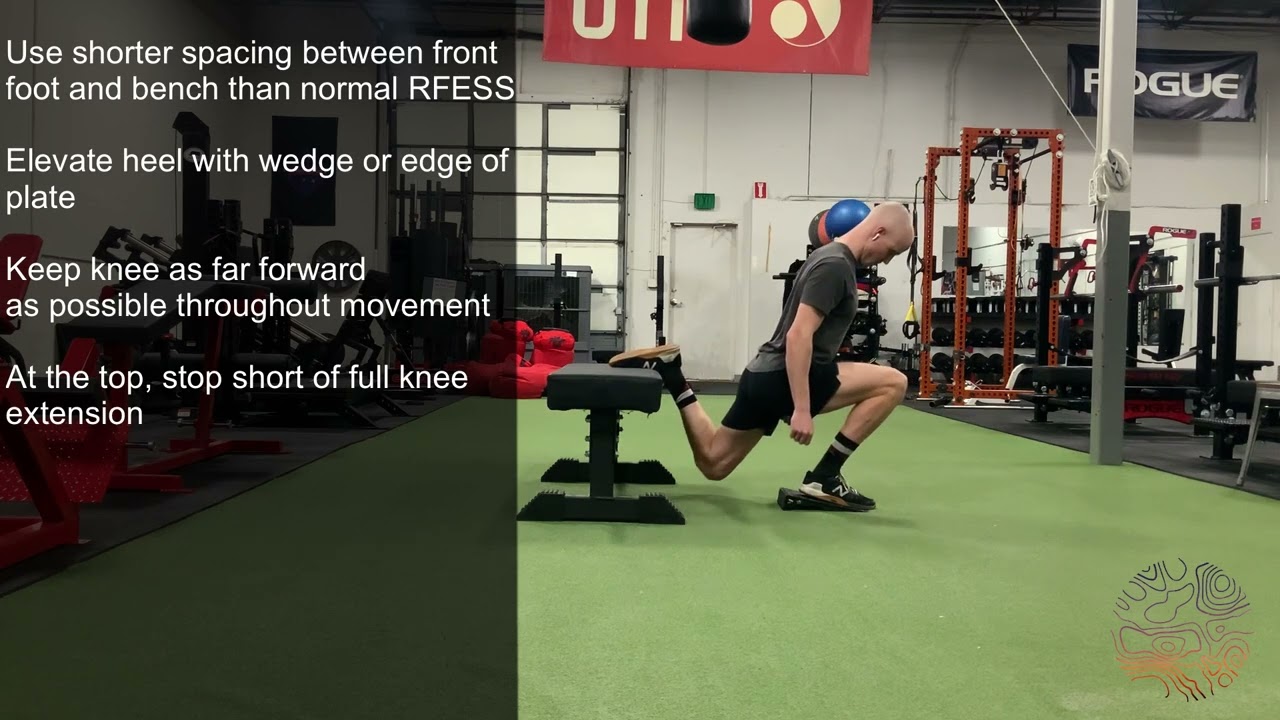 Rear Foot Elevated Split Squat (Quad Bias) YouTube