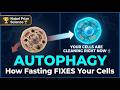 Fasting for Cellular Repair: Autophagy Explained (Science-Backed Protocol) 🔬⚡