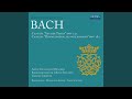Miniature de la vidéo de la chanson Kantate, Bwv 131 "Aus Der Tiefen Rufe Ich, Herr, Zu Dir": Iv. Aria E Choral "Meine Seele Wartet Auf Den Herrn"