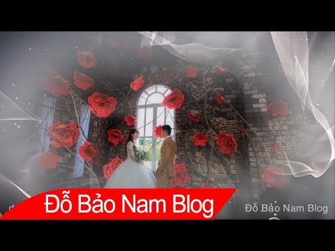 Free download style Proshow Prodcuer wedding đẹp mới nhất by Duy Hiệp