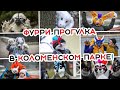 Фурри прогулка в Коломенском парке!