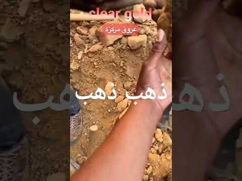 اكتشاف كنز من الذهب الواضح ١٠ جرام في الصطل العبري