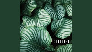 Collider