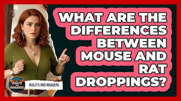 What Are The Differences Between Mouse And Rat Droppings? - Insects and Invaders