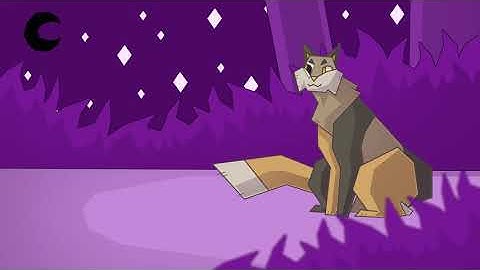 [Warriors Multi Animator Project] Want You Gone - Part 4