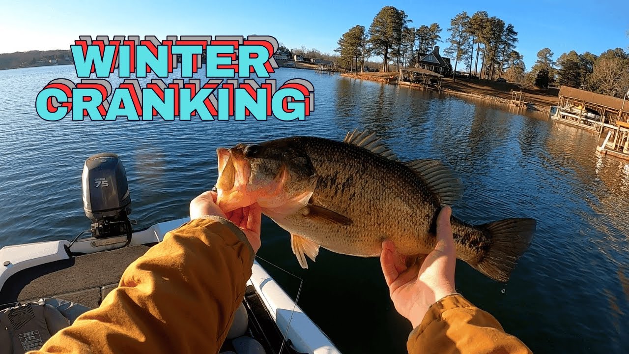 Shallow Water CRANKING in JANUARY?! (Smith Mountain Lake)
