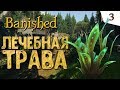 ЛЕЧЕБНАЯ ТРАВА #3 Banished прохождение на русском