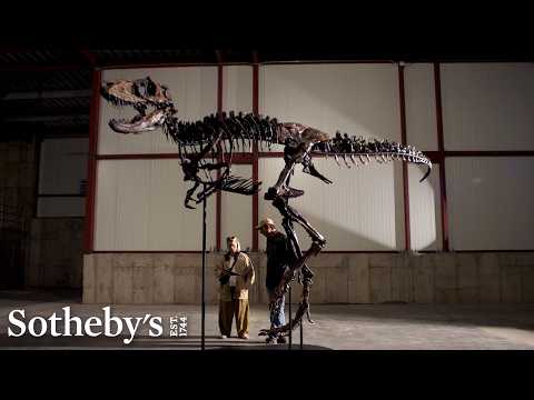 Jodi the Nanotyrannus: The Dino That Settled One of The Biggest Paleontological Debates | Sotheby’s thumbnail